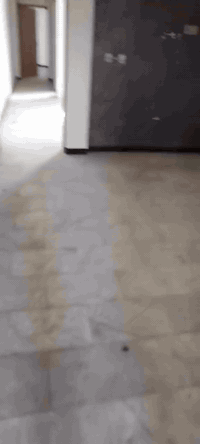 السلام عليكم مشتمل للبيع المساحة ٨٠ متر الوجه ٤ نزال ٢٠ طابو ملك صرف يحتوي الطابق الأول استقبال مطبخ خدمات منور غرفه نوم الطابق الثاني استقبال مطبخ خدمات منور غرفه نوم الطابق الأول بيه مؤجر والطابق الثاني فارغ المشتمل نضيف بناء ٢٠٢٣ حاليآ المشتمل يصلح استثمار الموقع الشهداء شارع المضخة الاول اللاستفسار اتصل ***********
