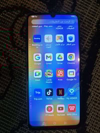 هونر • شغال • بي فطر