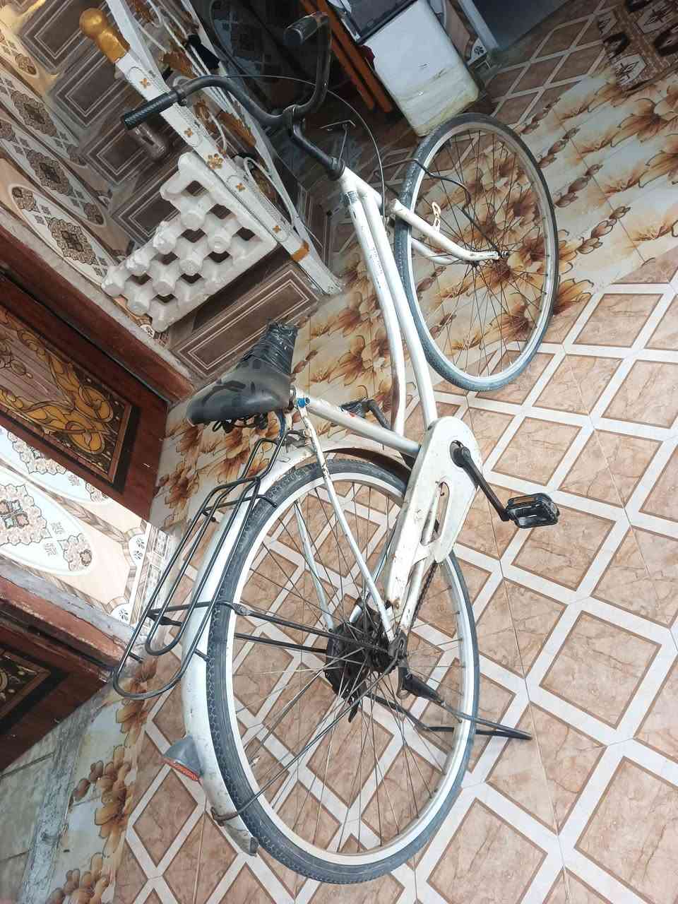 بيسكل ياباني بناتي قيم واخذ


**إذا كنت صاحب هذا الإعلان وتريد حذفه لأي سبب، رجاءا أرسل رسالة إلى الدعم الفني**