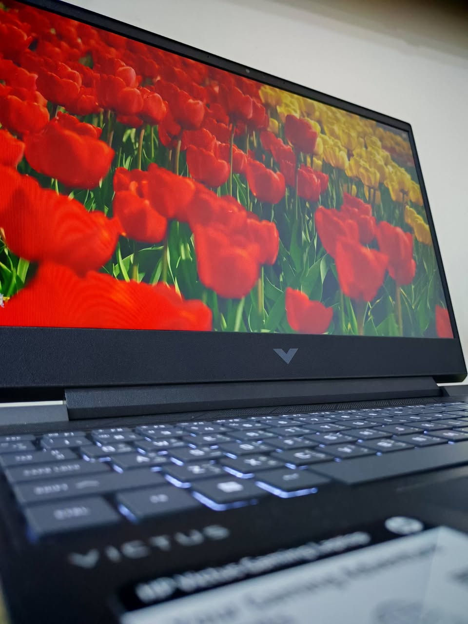 لابتوب ( كيمنك )
للبيع HP Victus

المواصفات : المعالج core i5 جيل 13 فئة H

 الرام 16gb DDR4  التخزين 512 قابل للتوسعة أكيد

كرت الشاشة RTX 4060 6G + كرت شاشة داخلي من انتل 

شاشة 15.6 IPS Fellhd 144HZ غير عاكسة (مات)

كيبورد عربي+إنكليزي + إضاءة كيبورد (إضاءة فقط)

(اللابتوب جديد تقريباً  ممنزل بيه غير تطبيقات التواصل فقط  وسبب البيع لإن چان عندي مشروع وحالياً لغيتة)
 السعر (( 850 ألف )) علماً الجديد ب 
مليون و150 الف .


**إذا كنت صاحب هذا الإعلان وتريد حذفه لأي سبب، رجاءا أرسل رسالة إلى الدعم الفني**