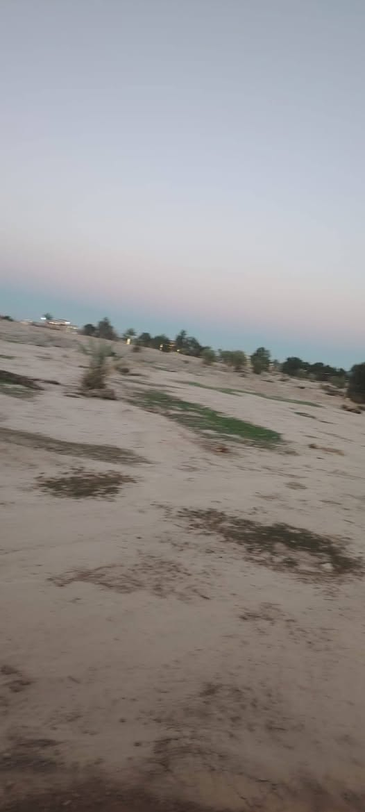 سلام عليكم ورحمه الله
#عندي_ارض... لبيع 
#المكان .اطراف بغداد..المشاهده 
#المساحه..10 دونم..
#خدمات ..كامل ماء كهرباء وعل شارع تبليط مباشر مقابل مدرسه الايثار 
#للتواصل
 ***********
***********
