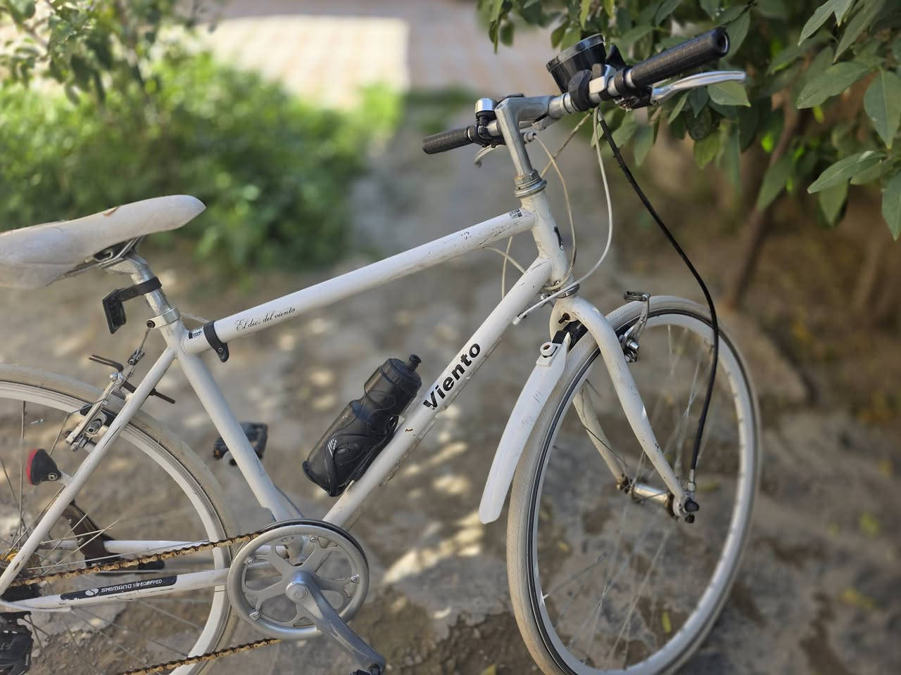 مرحبا 👋
غراض للبيع كلشي وسعره عنوان سامراء ❤


**إذا كنت صاحب هذا الإعلان وتريد حذفه لأي سبب، رجاءا أرسل رسالة إلى الدعم الفني**