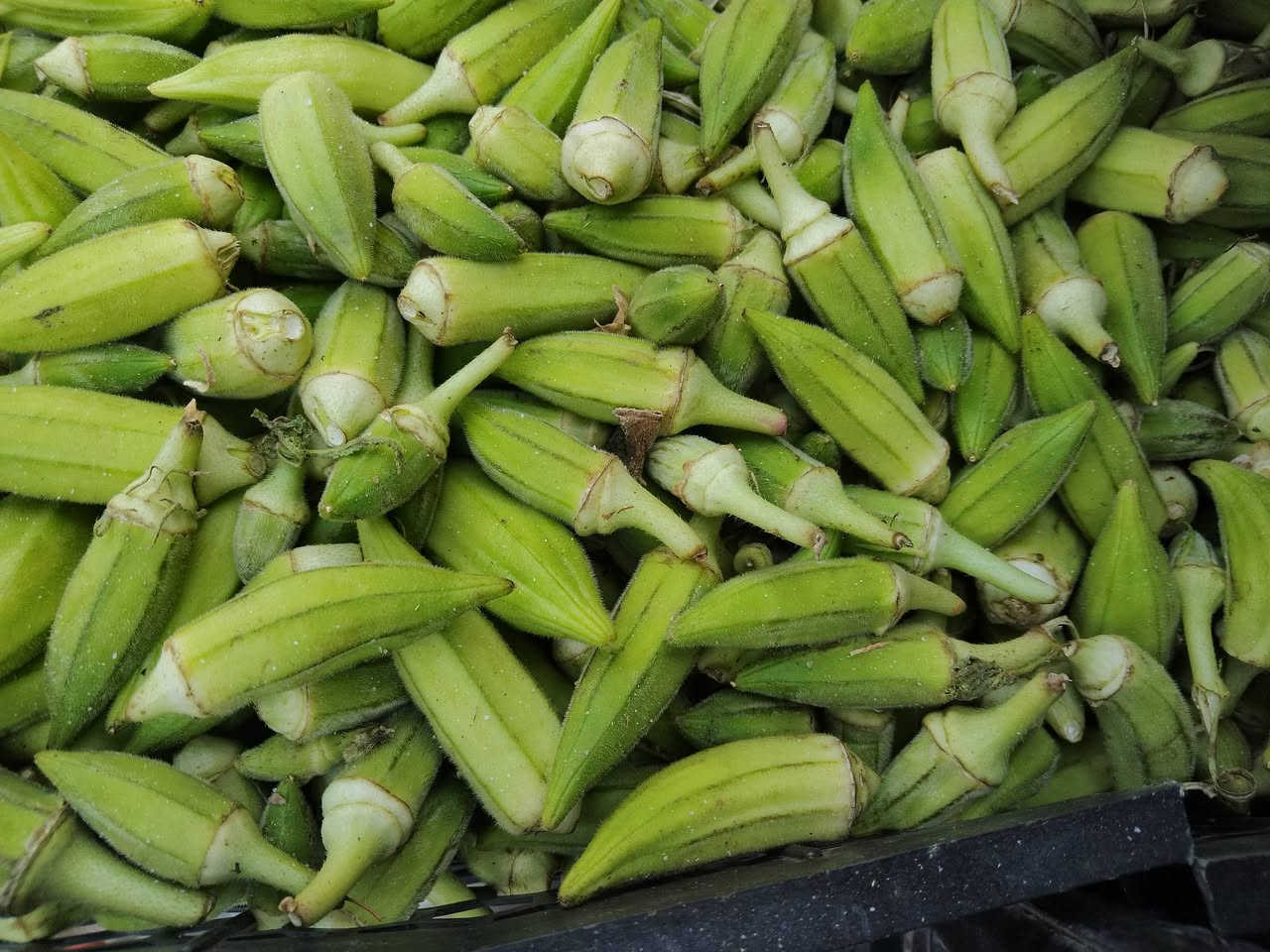السلام عليكم توفرت الباميه خظره وتازه كيلو الفين ونص  ومنظف ومكيس كيلو 3000 للحجز ادخل خاص يوجد لدينا توصيل جميع مناطق كركوك


**إذا كنت صاحب هذا الإعلان وتريد حذفه لأي سبب، رجاءا أرسل رسالة إلى الدعم الفني**
