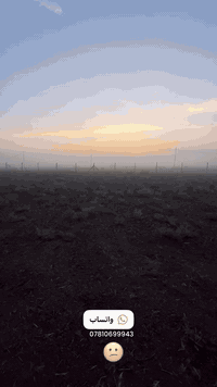 لباخين • النجف • كربلاء