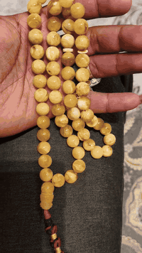 بولوني شجر بالكامل تايكر وزن والمسباح مع السوار 60 غرام السعر 300 الف قفل شراي تفضل خاص 

***********
