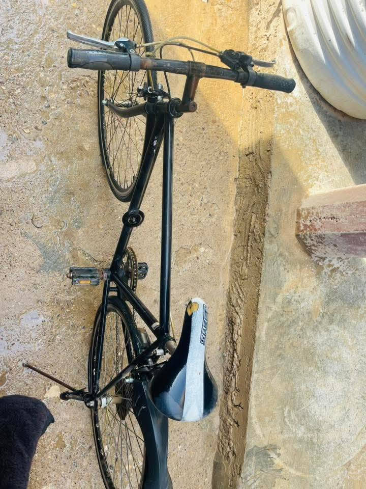 باسيكل سباق حيل نضيف فقط نقصه تاير خلفي


**إذا كنت صاحب هذا الإعلان وتريد حذفه لأي سبب، رجاءا أرسل رسالة إلى الدعم الفني**