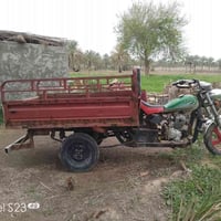 ستوته • بدون اوراق • محرك ناعم