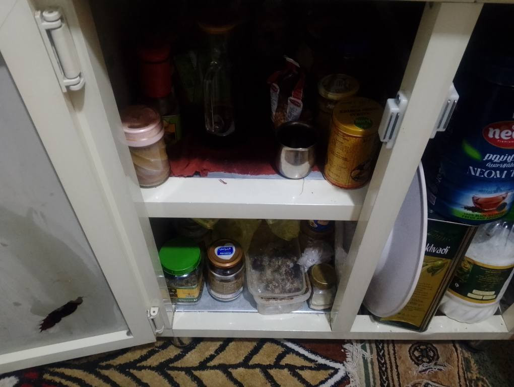 الاستفسار *********** بغداد, العراق
