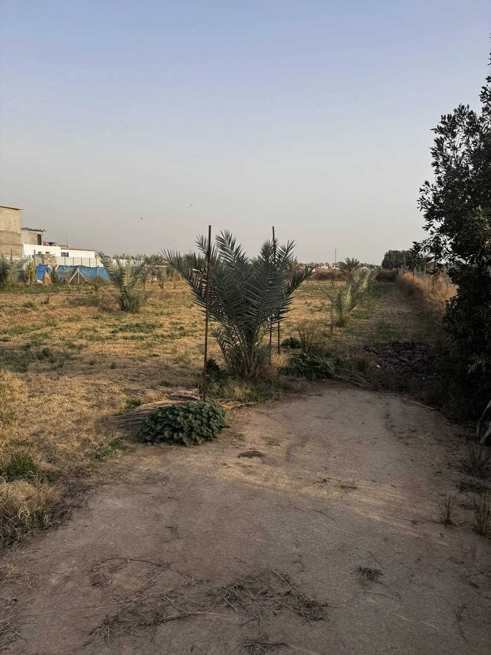 السلام عليكم
للبيع دونم وقف 
بغداد سلمان باك باوي 
وجه 31 
نزال 80 
عقد جديد وخارطة للارض 
مسيج وكامل 
مي سقي مع بير خاص للارض 
مشجر حمضيات ونخيل 
يصلح استثمار او سكن 
سعر مناسب جداً 
للاستفسار 
***********
