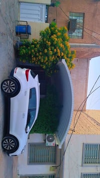 سبورتاج خليجي ٢٠١٧ تواصل على رقم ٠٧٧١٧٤٨٥٥٧٠