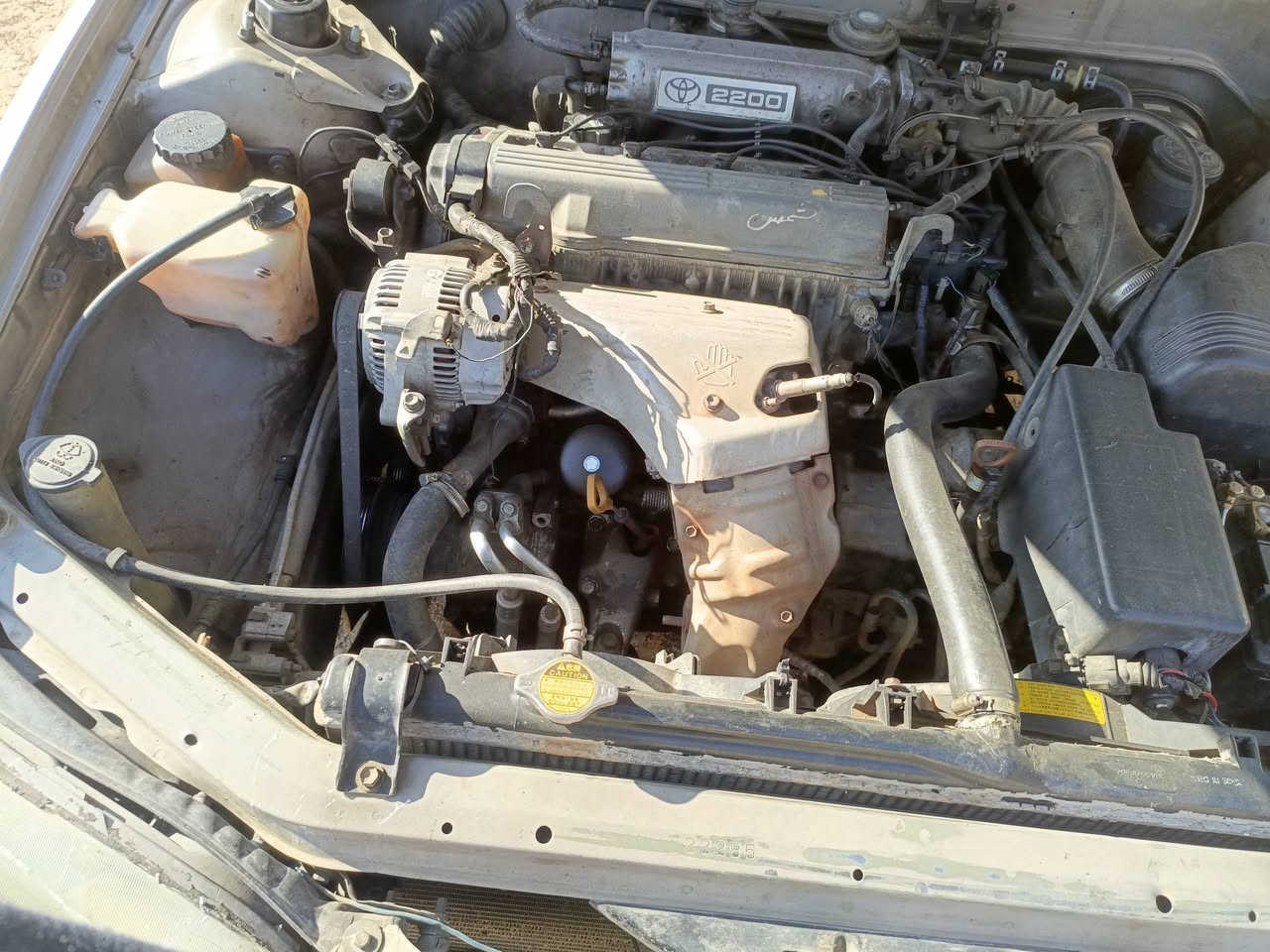 كامري 95مريكي4سلندر حادث جاملغ اليمن بس من خارج محرك كير مكفلات تبريد دتفها شغلات سياره عل بلاد  صدر رادله ترتيبات مكان ابو غريب شهداء سعر 55 ***********))(***********
