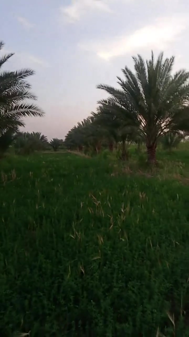 ✅️7دوانم
الواجهة 50 متر 

وجه على شارع سبيس عرض 10 متر 

✅️متوفرة كافة الخدمات

تبليط، ماء، كهرباء، مدارس 

طابو  زراعي سند 25 

✅️الموقع شارعنجف كربلاء  عمود 1141 - منطقة

الجذار

📞 إتصل //***********
