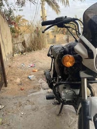 بوكسر • سنوية 2021 • بصرة كرمت علي