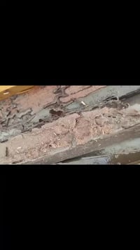 ✅ تعتبر حشرة الارضة من المشاكل المزعجة والمدمرة التي تؤثر على المنازل ...