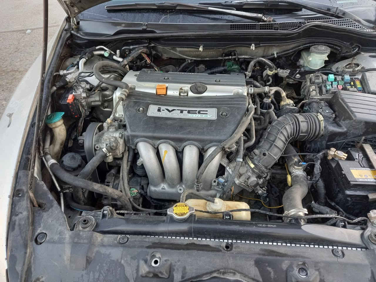 التفاصيل داخل الصور
