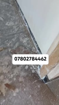 لباخ اشتغل جص وسمنت او بورك شغل كدام العين متفرغ حالين 07802784462