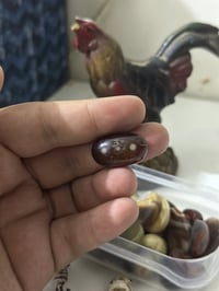 سلماني • نادر • واحد على واحد