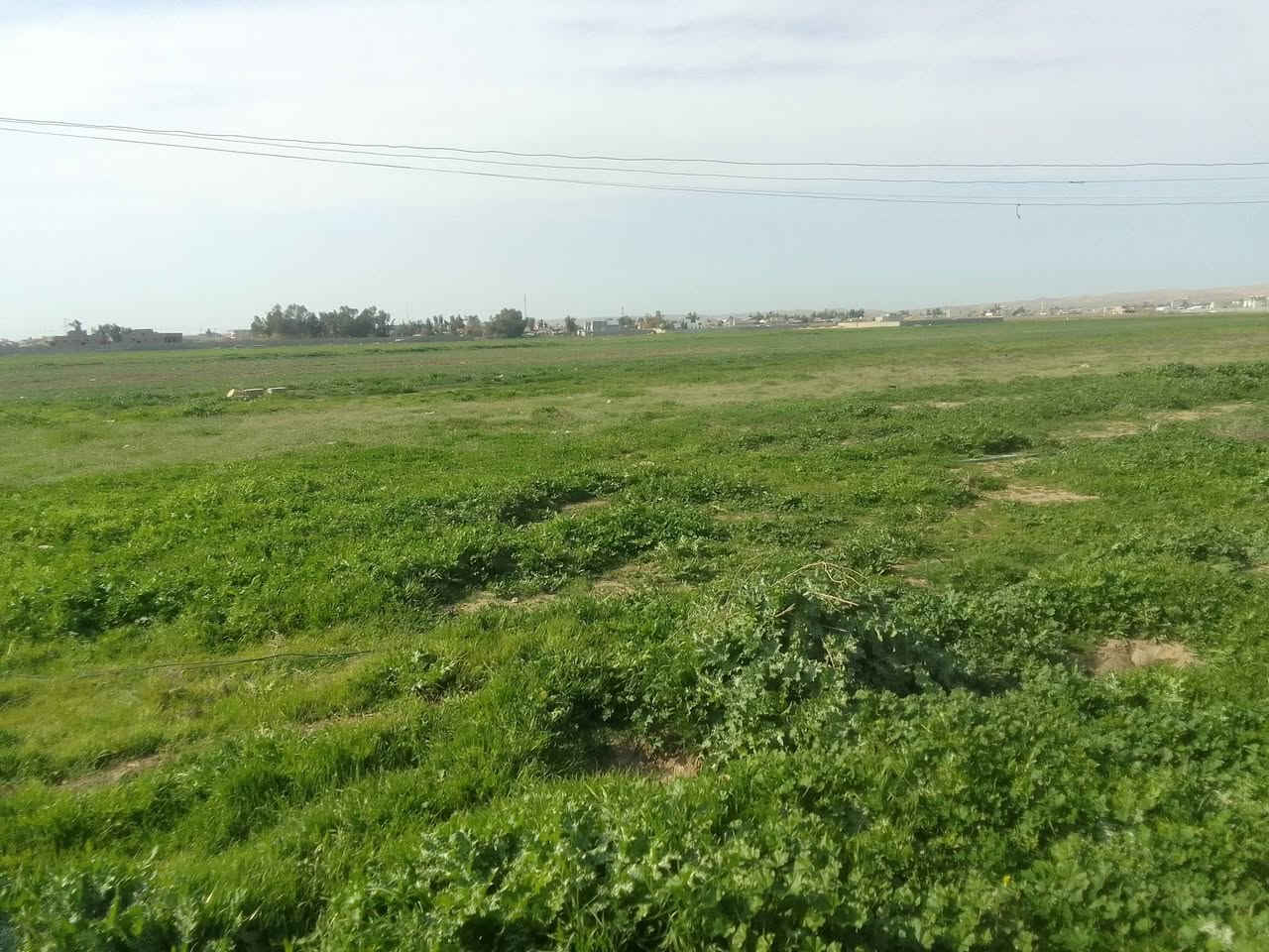 اكو ٢٣دونم للبيع يم شقق سعر مناسب ***********
