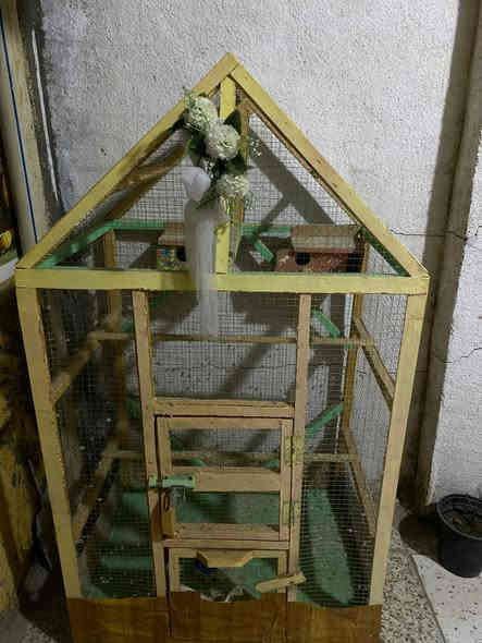 مكلفه بنشر شراي تصل برقم أو مراسله *********** الطباخ 115 وبي مجال شغاله المكنسه جديده استعمال قليل مخذيها 70 يردوها ٥٥ القفص 20 مكانهن نجف
