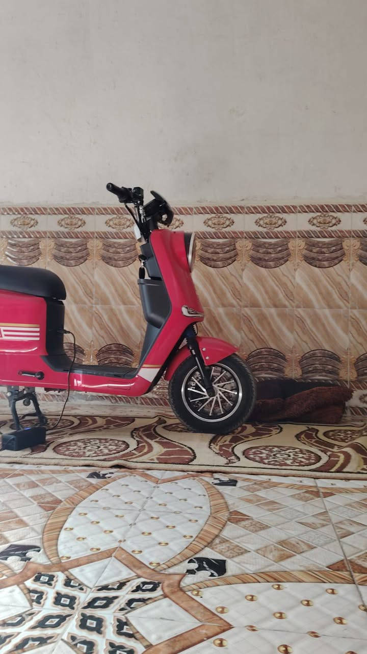 البيعع سعر 650


**إذا كنت صاحب هذا الإعلان وتريد حذفه لأي سبب، رجاءا أرسل رسالة إلى الدعم الفني**