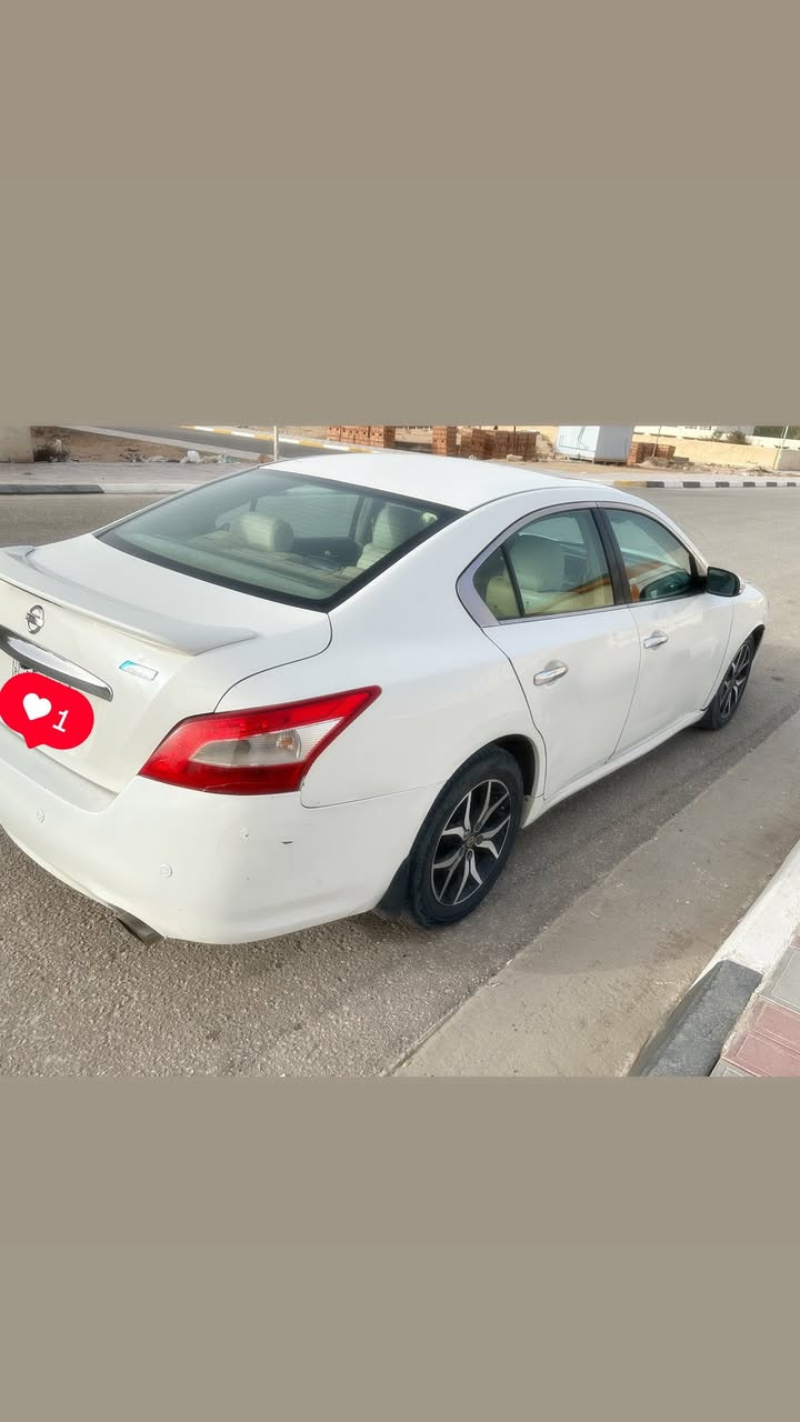 للبيع نيسان مكسيما 2010 – 

سيارة مميزة بحالة ممتازة، جاهزة للاستخدام .

المواصفات:
 • اللون: أبيض
 • المحرك: 3500 سي سي
 • فل مواصفات
 • تشغيل بصمة
 • فتحة سقف
 • كراسي جلد كهربائية مع خزن
 • تدفئة وتبريد للكراسي
 • تبريد خلفي للركاب
 • بردة خلفية كهربائية
 • حساسات أمامية وخلفية
 • كاميرا خلفية
 • شاشة كبيرة
 • أربع أبواب صبغ + جاملغ أمامي

السعر : 73

السيارة مريحة وعائلية وقوية على الطريق، مناسبة للاستخدام اليومي والسفر

مكان السيارة في كربلاء 

للتواصل خاص
او الاتصال : ***********
