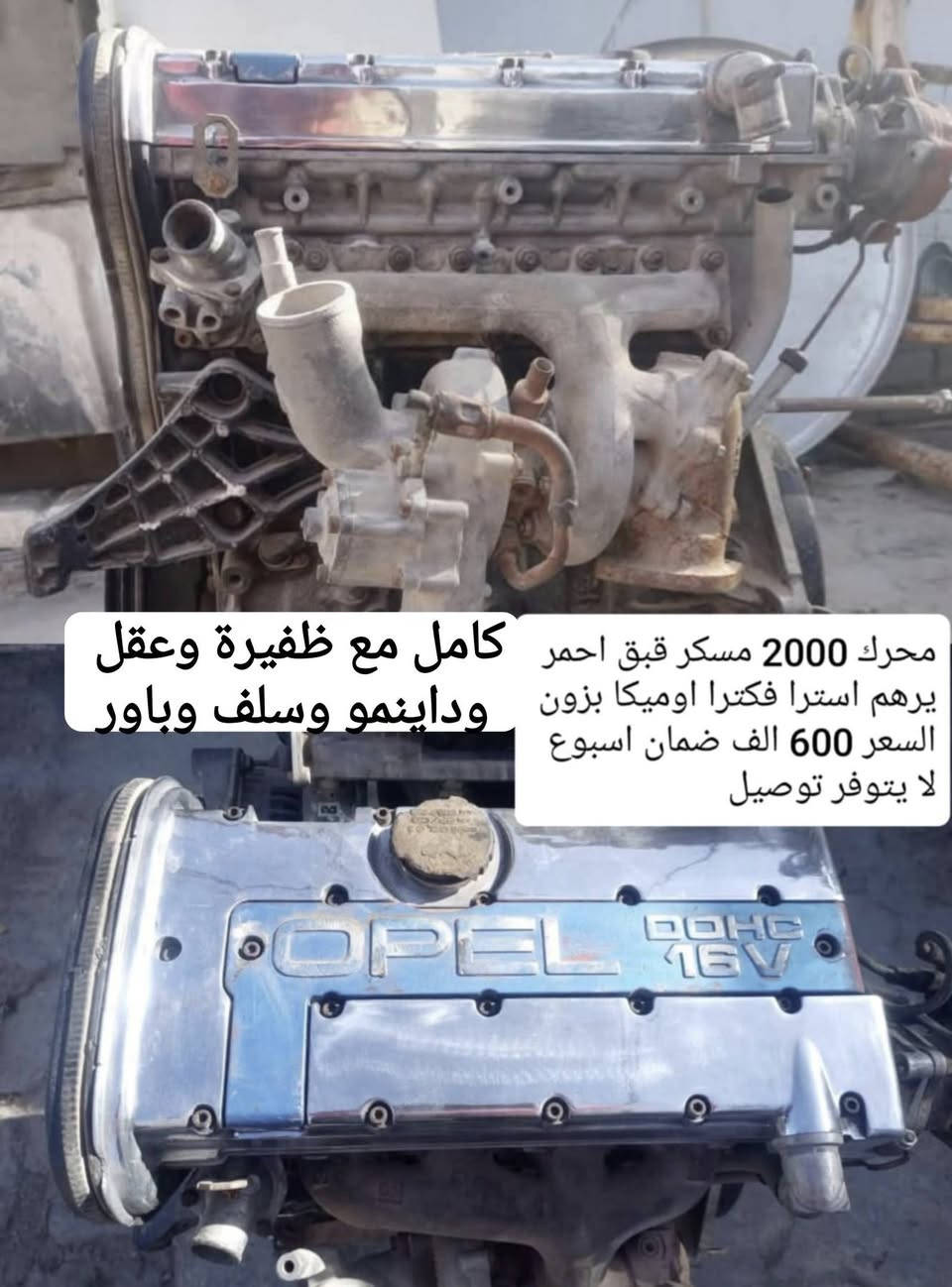 السلام عليكم اعزائي
مجموعة اغراض متوفرة فقط المعروض بالصور
واللي محتاج شي يجي ياخذه بلاش من عيوني
المكان كربلاء الحر 
توصيل جميع المحافظات 5000 دينار 
التوفيق للجميع 🌹
واتساب ***********
