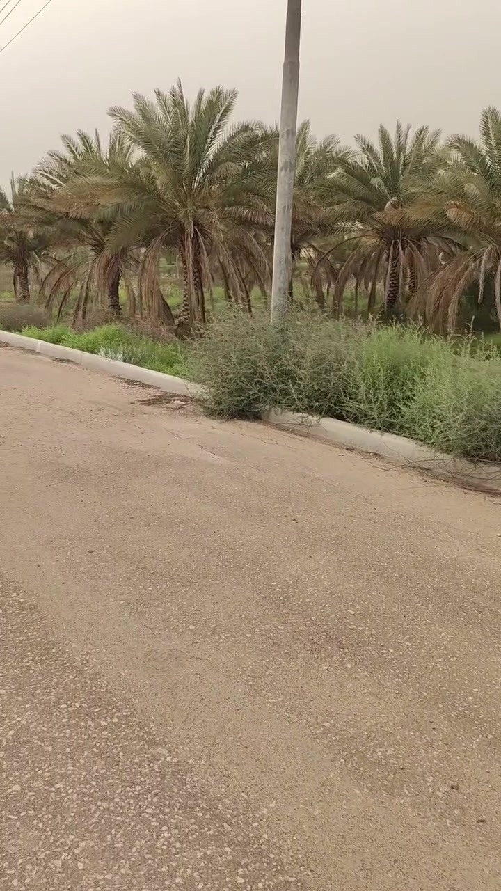 (وبه نستعين) قطعه زراعية سند ٢٥ يدخل الاسم في السند الواجه ( ١٦ ونصف ) المساحه ( ٥٠٠متر ) تبعد عن شارع العام ( ١٥٠ متر  ) العنوان الإبراهيمية مقابل قناة كربلاء.. السعر ( ١٢٠ مليون) الأرض نظام فلل مقسمه لتواصل ***********   *********** ملاحظة خدمات كامله
