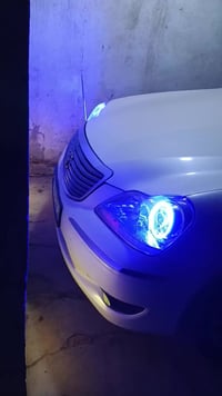 كفالة • رقم بغداد • ٢٠٠٥