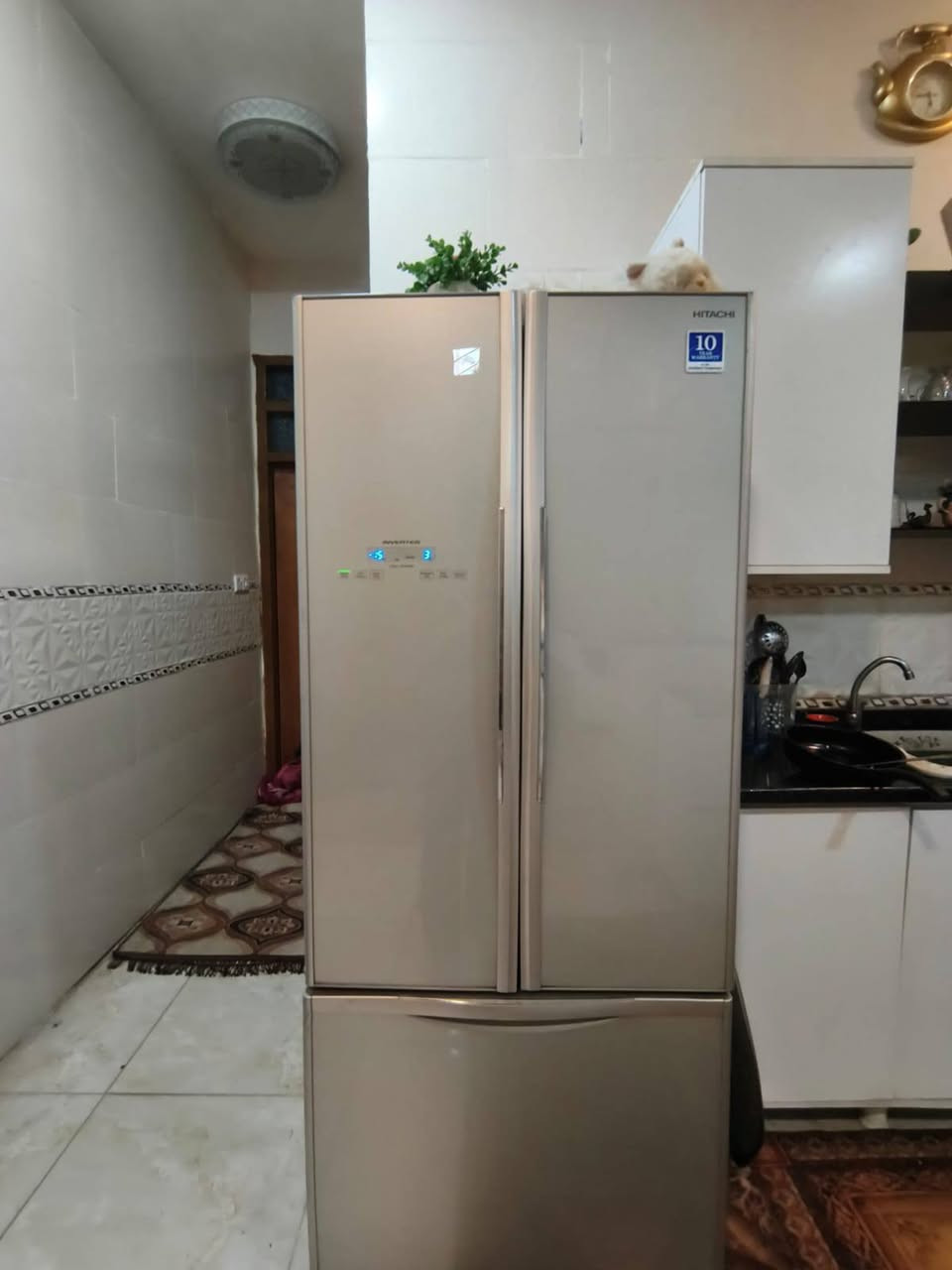 غراض للبيع نضيفات سبلت كنتوري 3 طن 800 غساله سامسونگ 400 ثلاجه هيتاشي 600
العنوان الشعب شارع العام


**إذا كنت صاحب هذا الإعلان وتريد حذفه لأي سبب، رجاءا أرسل رسالة إلى الدعم الفني**