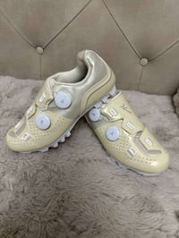 قياس ٤١