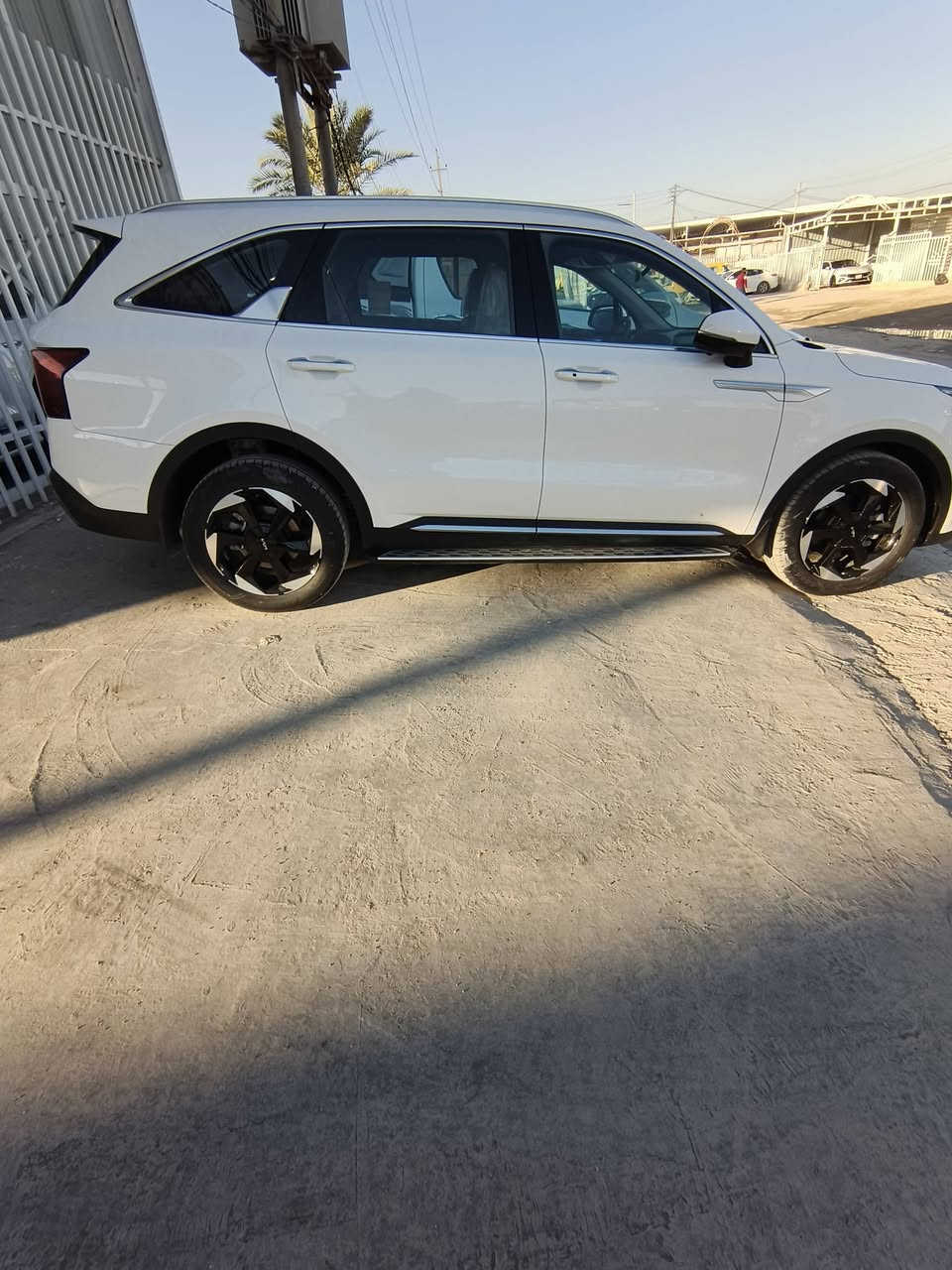 سورنتو ٢٤ أربيل فول مواصفات كفالة عامة بني رامة تبريد تدفئة كشناة أربع كامراة تحكم ستيرن شفتاة ستيرن تحكم السرعة مانع انزلاق ويل ١٩ واير لس وبعد أكو مواصفات النجف الأشرف الكوفة *********** للبيع فقط كير ماوس ثمن سرعات
