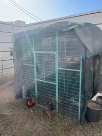 قفص • ١٧٥×١٦٠×١٠٠سم