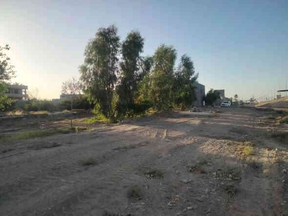 السلام عليكم 
توفر لدينا بيت طابق واحد للبيع قرب جسر الفراج 
المساحه ٥٠٠ متر
الوجه ٩/ونص 
النزال ٥٣
سعر / ١٢٥ مليون 

للمزيد من التفاصيل
 يمكنكم زيارة مكتبنا شارع 40 مدخل الصوفيه الثانية 

او الاتصال على الارقام التاليه 

***********
***********
***********
