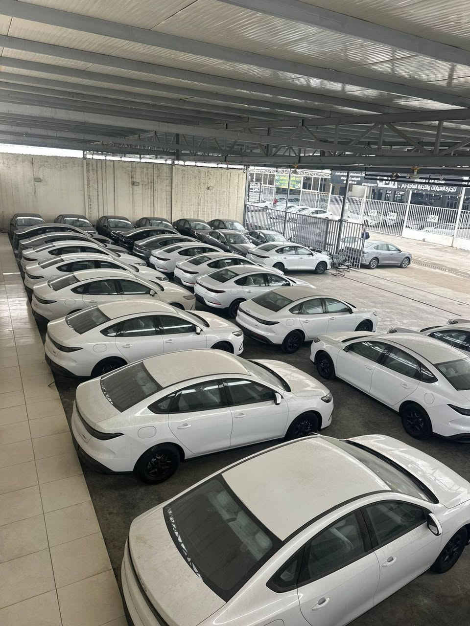 الاسعار جوه السووك 🔥
الديستروير 
الكن بلاص
سيل 5

 ويتوفر جميع انواع سيارات البي واي دي 
من قلب مخازن وساحات السيارات في اليوسفية 
للبيع المفرد والجملة

🥇مجمع معارض مدخل بغداد للسيارات
الاسعار اتصل وتدلل انسب الاسعار 

🔴بي واي دي دسترويرBYD موديل 2025 نار 🔥 
🔴بي واي دي كن بلاص BYD موديل 2025 🔥 
🔴بي واي دي سيل BYD موديل 2025 🔥 

الاسعار جدا مناسبه
        زورونا واهلا وسهلا بكم
يتوفر كافة انواع byd😍

___________________
مواصفات الكورلا 
فول الفول 
كرسي عادي 
شكل الامريكي وشكل خليجي
               
للاستفساراكثر اتصل على الأرقام التالية
🥰🥰🥰🥰☎️☎️☎️☎️

عزالدين الغريري
ادهم الغريري
***********
***********
***********
***********
📍الموقع بغداد اليوسفية قرب سيطرة 75
( مجمع معارض مدخل بغداد للسيارات)
(((معارض اليوسفية))) maps/waze 📍#BYD #bydبغداد #العراقيين
#BYDIraq
#يخيي
#متابعة
#BYD#. #بغداد
