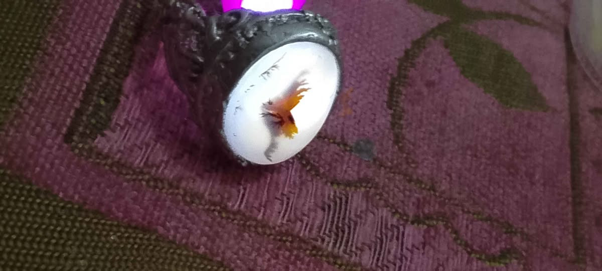 محبس فضه خراسانيه سعر٢٥ البصرة, العراق


**إذا كنت صاحب هذا الإعلان وتريد حذفه لأي سبب، رجاءا أرسل رسالة إلى الدعم الفني**