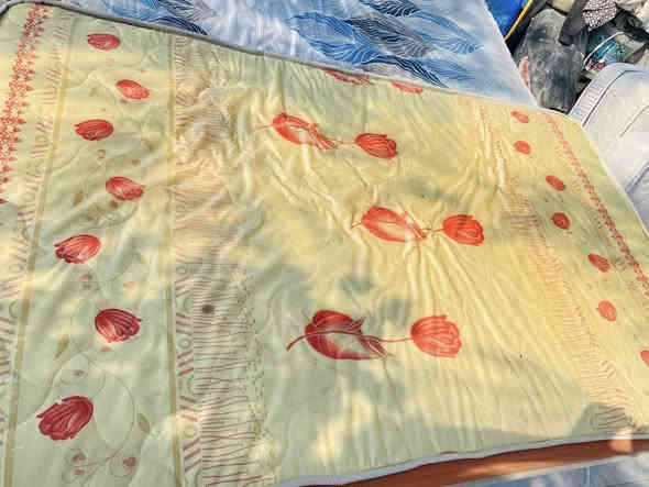 دواشك طبي ابو النفر عدد 3 السعر 45 
دواشك اسفنج اصلي مو سوكي ابو النفر عدد 13 السعر 25 
مكاني ناصريه ***********
