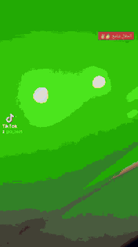 تايكر • موديل ٢٠٢٤ • شطره