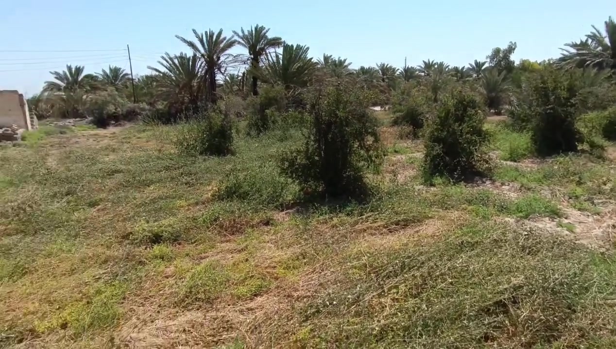 سلام عليكم دونم للبيع 117يبعد عن الامام 10 كيلو يصلح حسينيه متوفر ماء وكهرباء محوله بصفه للاستفسار الاتصال على الرقم ***********
