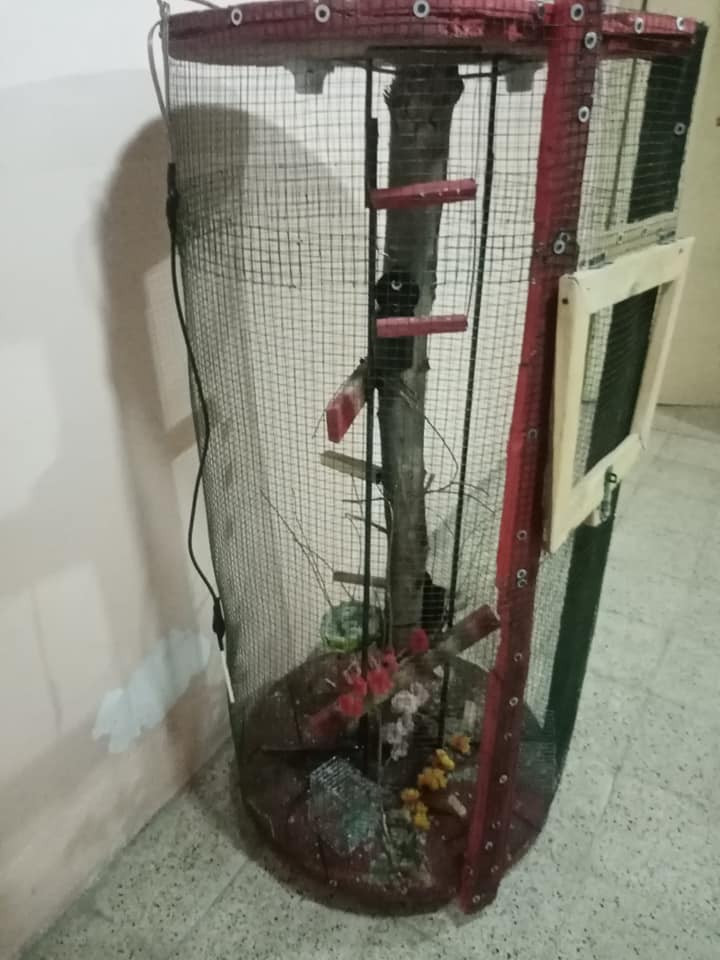 قفص فصال البيع سعر ٥٠ عنوان الميثاق ***********هذه
