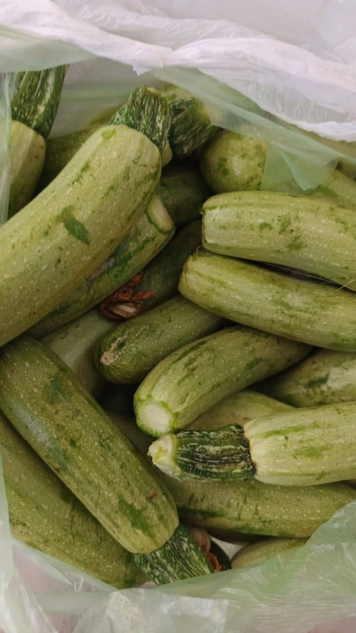 بامية  عنه  حيش  جديد
شجر مال  عنه  حيش  جديد
باجلاء   مفلسه 
العنوان  شارع  الحضره  خلف  ماركت  بيم 
يوجد خدمة  توصيل ***********
