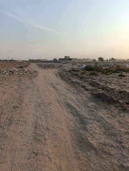 دوانم للبيع المدثره قرب المشتل عددهن 6 ونص مقابيل الأسأله الي بظهر المشتل ماي كهرباء بيهن منطقه سكنيه يباع قسم منهن او كلهن حسب الرغبه للاستفسار الاتصال على *********** او راسلني خاص
