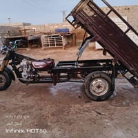 ستوته • دايوان • موديل 11