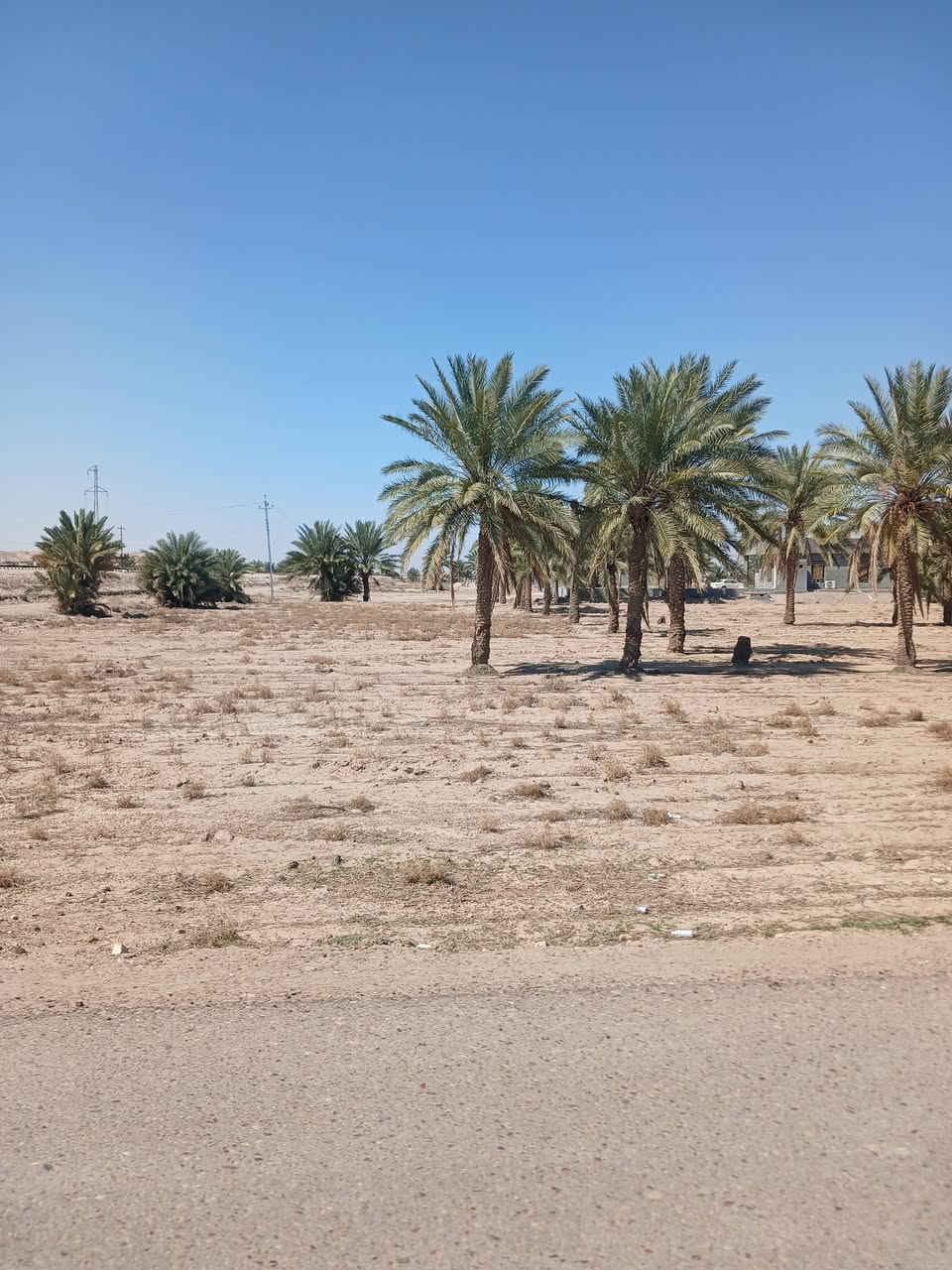 دونم للبيع في النساف شارع البوصالح الرابط بين البعلوان والجفه، مي وكهرباء وسكن،
سعر الدونم 28 مليون 
للإستفسار اكثر الاتصال ***********
