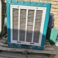 ممبردة • نظيفة