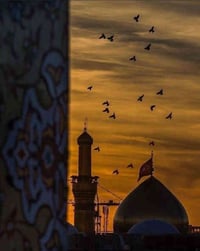 حملة صاحب الزمان • كربلاء المقدسة • انطلاق خميس 12