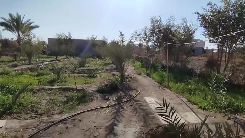 سلام عليكم بيت للبيع مع بستان
مساحه البيت والبستان 100متر

السلام عليكم عندي ١٠٠٠م من ضمن المساحة بيت بالمقدمه ٢٦٠م بناء درجة أولى كله طابوق والسقف كونكريت مسلح والباقي كله نخل شويثي وكنطار حوالي ٦٠ نخله ونبك مطعم حوالي ٢٠ وتين وعنب وماطور غطاس على الشط ويبعد البيت عن الشط حوالي ١٨٠م  

تفاصيل

عل خاص او اتصل هاذ رقمي والشراي بي خير ويدلل هاذ

***********
