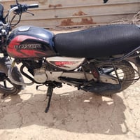 بوكسر جبلي • مرقم • ٢١