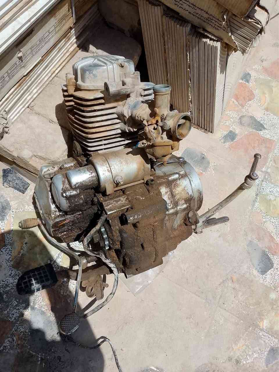سلام عليكم  مكينه مال ستوته لا تنقيص ولا تبخير مكينه تخبل عوزه بس غسل سعر 70و  بيه مجال وذا كو مراوس بمكينه ربعه كير عادي ب مكاني نجف ابو صخير وره مدينه لعاب رض سعيده


**إذا كنت صاحب هذا الإعلان وتريد حذفه لأي سبب، رجاءا أرسل رسالة إلى الدعم الفني**