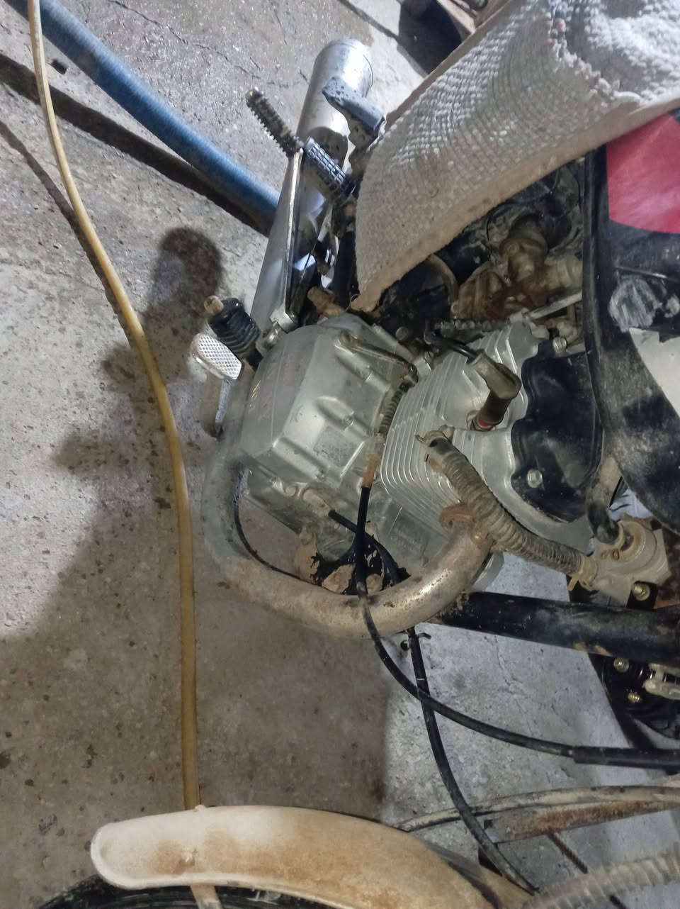 السلام عليكم دراجة سيفانة للبيع موديل 2020 أوراق وكلشي شغال كهربائيات شغالة لاستفسار مراسلة الصفحة


**إذا كنت صاحب هذا الإعلان وتريد حذفه لأي سبب، رجاءا أرسل رسالة إلى الدعم الفني**