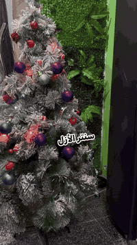 مسائكم ورد جميلات الازل مبادره  مقدمه من جم وسنتر الازل للرشاقه والتجم...